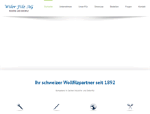 Tablet Screenshot of filz.ch